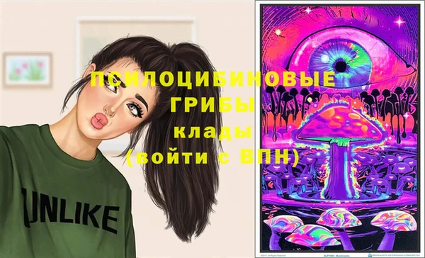 mdma Краснослободск